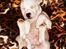 Blanding af racer Idefix RIP