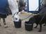 Labrador retriever Dixie  - Dixie & Romeo drikker vand.. de er begge elsket og savnet! <333 (Romeo er solgt)