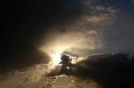 Amerikansk staffordshire terrier tony billede 15