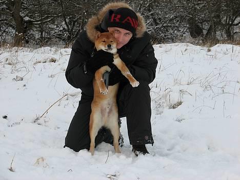 Shiba Pyrus - I kan ikke finde mig billede 3