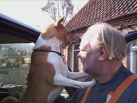Basenji Aslan  - Aslan  og  Klaus  billede 2