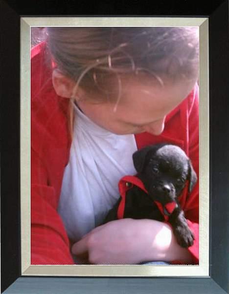 Blanding af racer Cali - Mors vuf billede 8