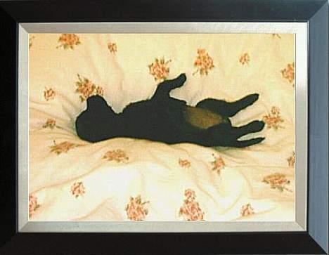 Blanding af racer Cali - znoooooork billede 12