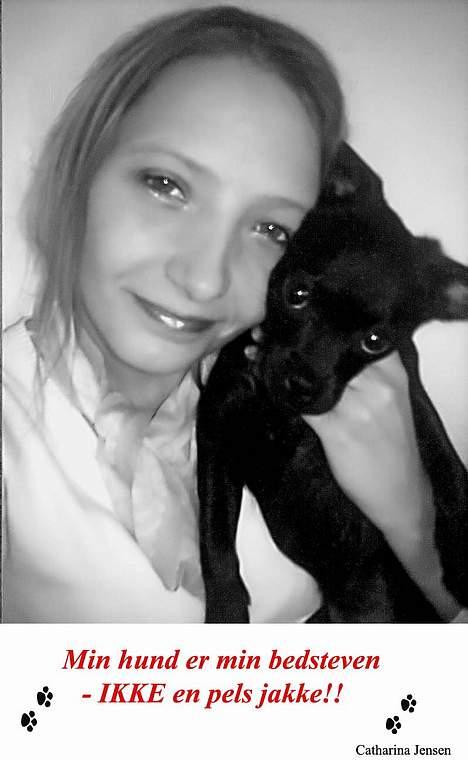 Blanding af racer Cali - Kopi af Peta billede 13