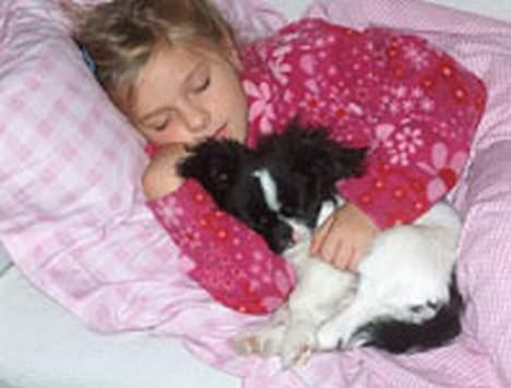 Blanding af racer Oliver - Oliver hans bedste veninde Victoria billede 7