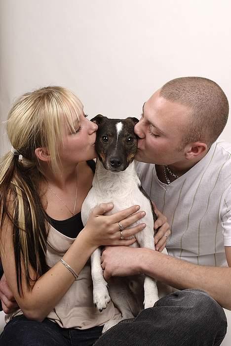 Dansk svensk gaardhund Lapsa *Vi savner Charli´* billede 15