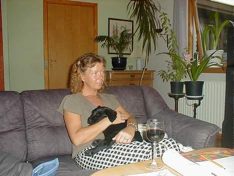 Flat coated retriever Lucky - nøøøhhjjj hvor man ligger godt her hos mor!!!!!!!!!!!!!!!!!!!!!!!!.......... billede 17