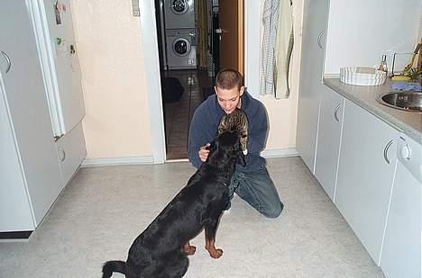 Rottweiler Fie - Theis, Piv og jeg billede 6