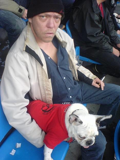 Fransk bulldog Frykas Baflo (FIGHTER) - Her sidder jeg på stadion sammen med min aller yndlings BEDSTEFAR!!!!!!! Kampen er ret spændende.... billede 5