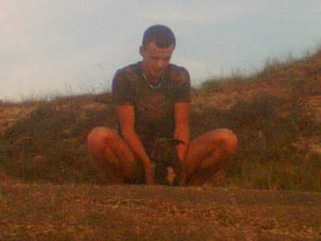 Amerikansk staffordshire terrier Qastro *R.I.P* - Så var vi lige på stranden! Min kæreste og Qastro <3 billede 3