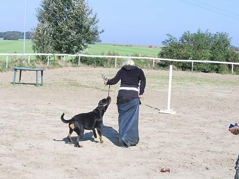 Rottweiler Xena  - Puha det  var hårdt :O)  billede 18