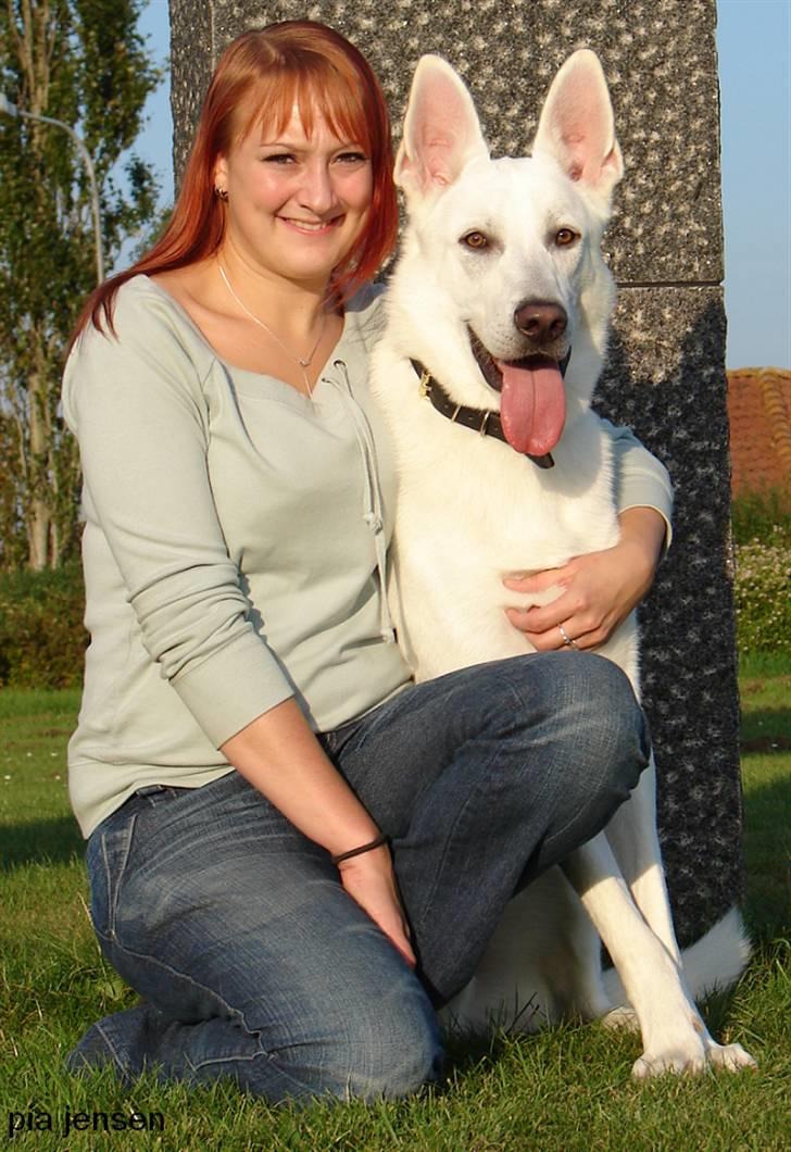 Hvid Schweizisk Hyrdehund Kappelgaards Tyson *RIP* - Tak til Pia for dette flotte billede;o) Tyson 1 år. billede 20