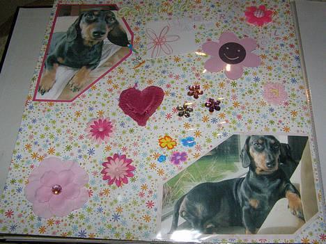 Gravhund gertrud - mathilde er ved at lave en scrabbog om gertrud billede 15