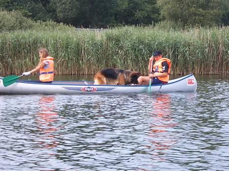 Schæferhund Haweto Natja   - Natja med i kano, min far bagerst med Natja og mig foran . billede 17
