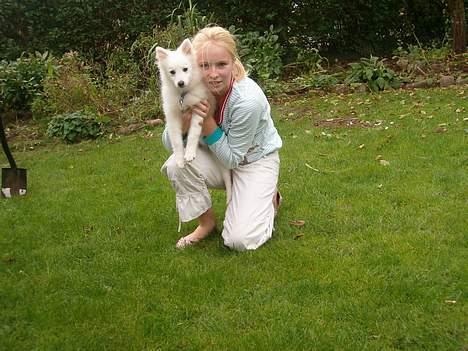 Japansk spids athos - mig og maria.... billede 6