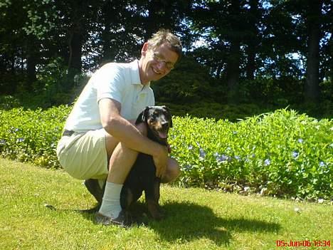 Dobermann Zita - Morfar kan jeg meget godt lide :) billede 16