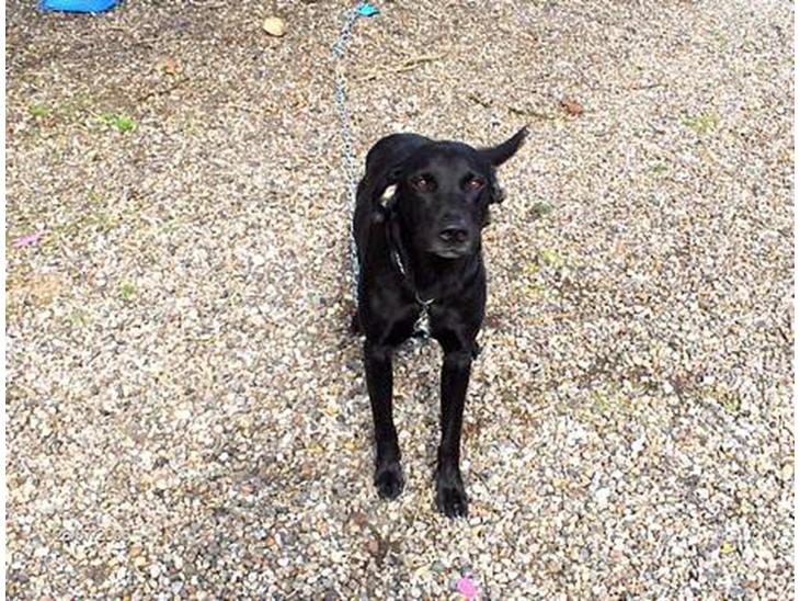 {{currentPhoto.altText}} billede {{currentPhoto.number}}