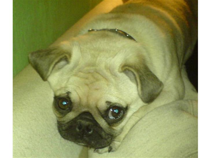 {{currentPhoto.altText}} billede {{currentPhoto.number}}