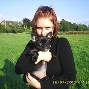 Fransk bulldog Rocky - R.I.P :'( <3