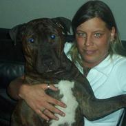 Blanding af racer nelli