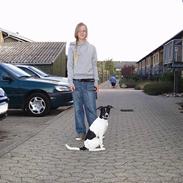 Blanding af racer dobby