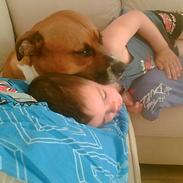 Blanding af racer stella