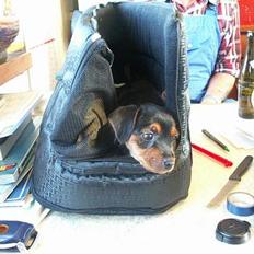 Blanding af racer Milla