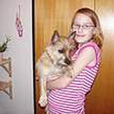 Cairn terrier kiki