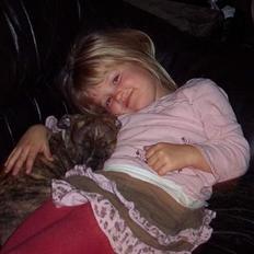 Amerikansk staffordshire terrier Bente