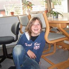 Dansk svensk gaardhund Vaks<33