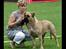 Bullmastiff Brak's Nagako Kuni/Bonnie