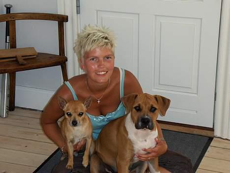 Blanding af racer Tazzi, Amstaff/am bulldog - Her ser i mig sammen med min storebror og min mor.... billede 14