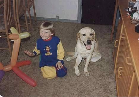 Labrador retriever Polly. (død) billede 4