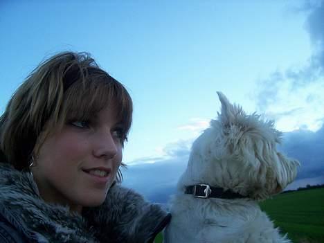 West highland white terrier Bonnie    R.I.P !!! <3 :( - Her er vi på vej op til møllen..  billede 16