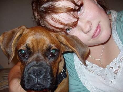 Boxer Zelda billede 9