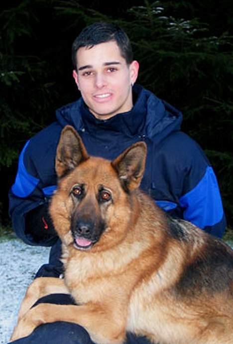 Schæferhund Trilingsgaards Cher billede 8