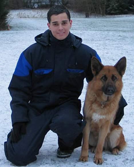 Schæferhund Trilingsgaards Cher billede 10