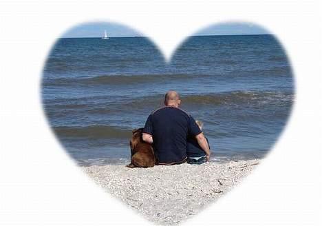 Staffordshire bull terrier Jeanty´s staff Zilla billede 13