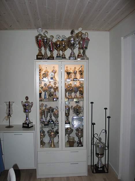 Schæferhund Trillingsgaards Gabi - dette er et udpluk af de pokaler der betyder mest for mig, resten er fordelt i 7 flyttekasser :-) billede 10