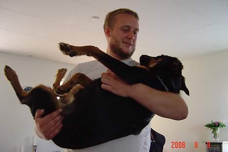 Blanding af racer Tulle billede 4