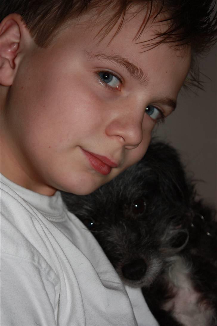 Blanding af racer Perle <3 - Perle og lillebror Håkon :o) To søde modeller! Foto: Ida Dalgaard billede 3