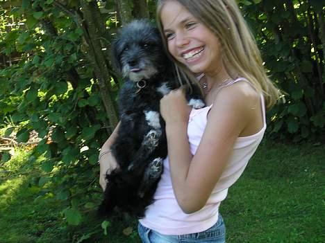 Blanding af racer Perle <3 - Gammelt billede af Perle og jeg :o) billede 8