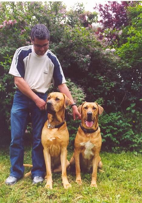 Broholmer Valdemar (død 12/6 2009) - Valdemar og hans 2. kone, Gamle Daneres Sigrun billede 16