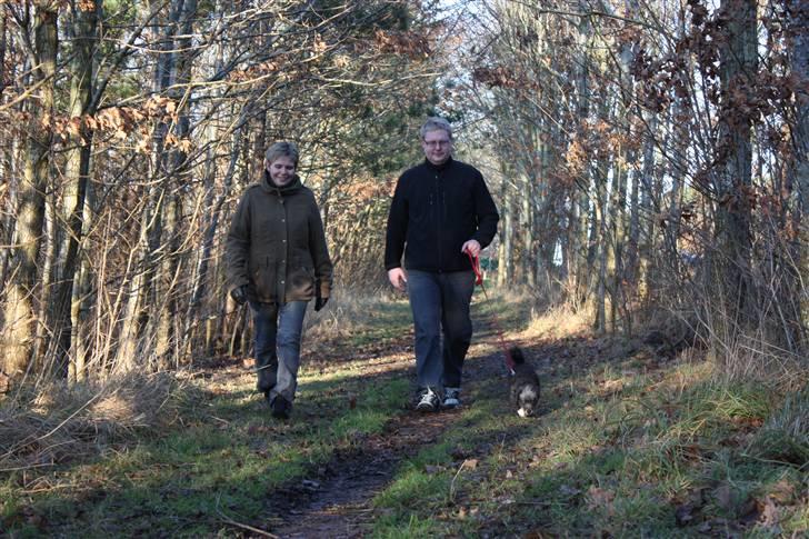 Blanding af racer Perle <3 - Så er vi på tur med Idas mor Sølvi og Sølvis kæreste Jonas :o) Perle nyder det! billede 16