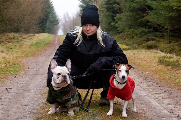 Fransk bulldog Frykas Baflo (FIGHTER) - Mig og drengene i Hvidbjerg........ *NYT FEB. 2009* billede 9