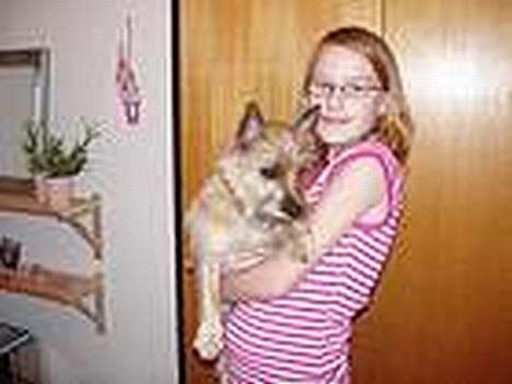 Cairn terrier kiki - Her jeg med mor.... billede 2
