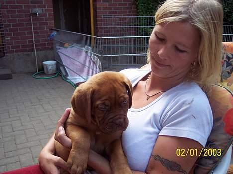 Dogue de bordeaux Fiona R.I.P - Fiona og Mor billede 6