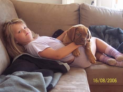 Dogue de bordeaux Fiona R.I.P - Fiona med "storesøster" Sasha billede 12