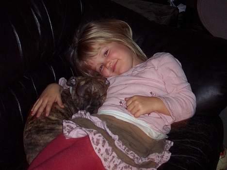 Amerikansk staffordshire terrier Bente - Bente med "storesøster" Sasha billede 3