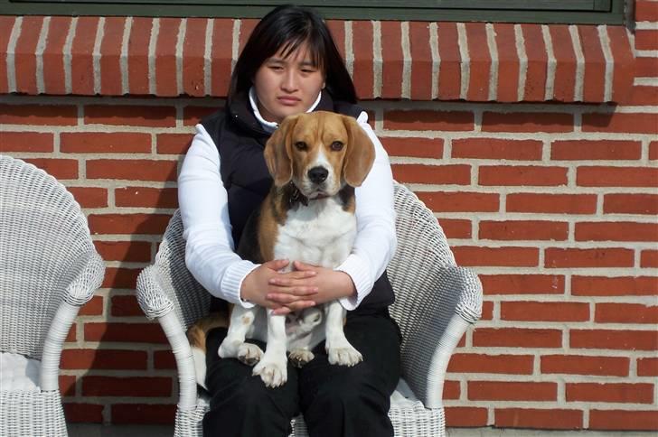 Beagle Bob RIP 22/10-2017 - Her sidder mig og Lene og hygger os... billede 14